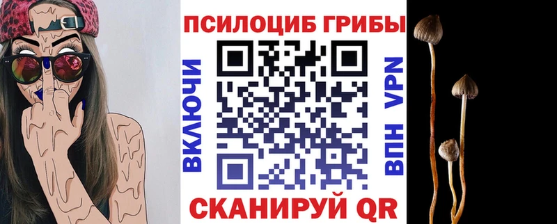 Псилоцибиновые грибы ЛСД  купить наркоту  Приволжский 